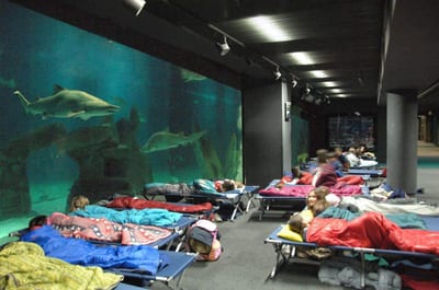 Bambini che partecipano all'iniziativa premio dell'acquario di Genova, "la notte degli squali"